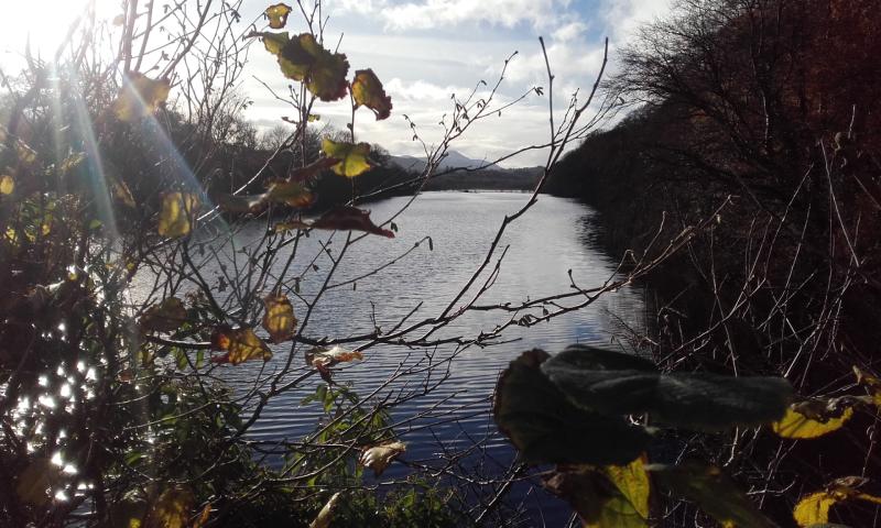 Warm and blustery day ahead for Donegal