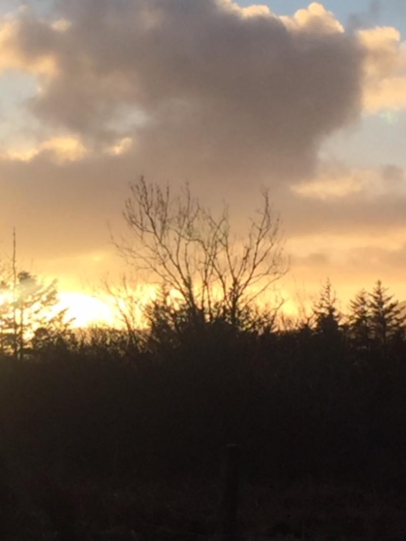 Donegal weather: Get the umbrellas out because rain is forecast