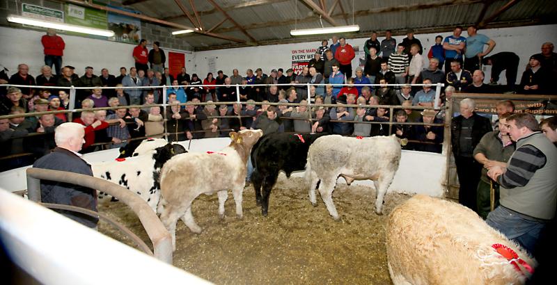 Donegal mart operators say insurance costs are " totally unsustainable"
