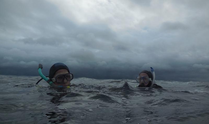 Donegal divers explore Melmore Head