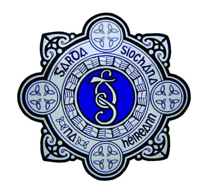 Donegal garda&iacute; seeking witnesses to alleged hit-and-run