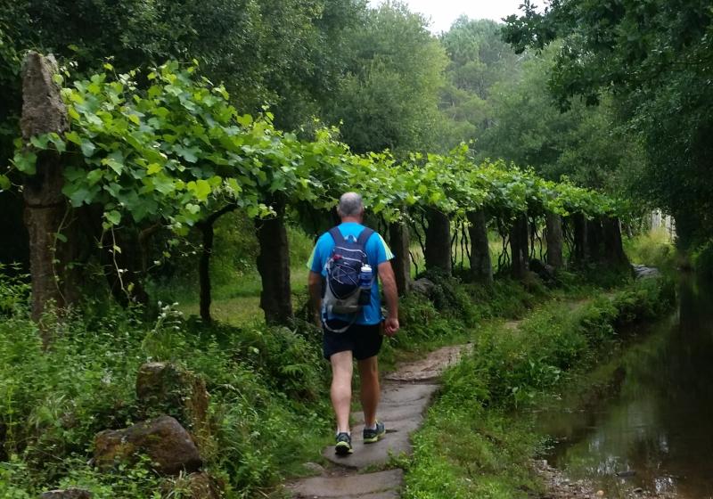 Read the Reid: The Camino Walk