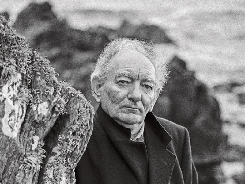 The Brian Friel International Festival returns to Donegal and Derry this month