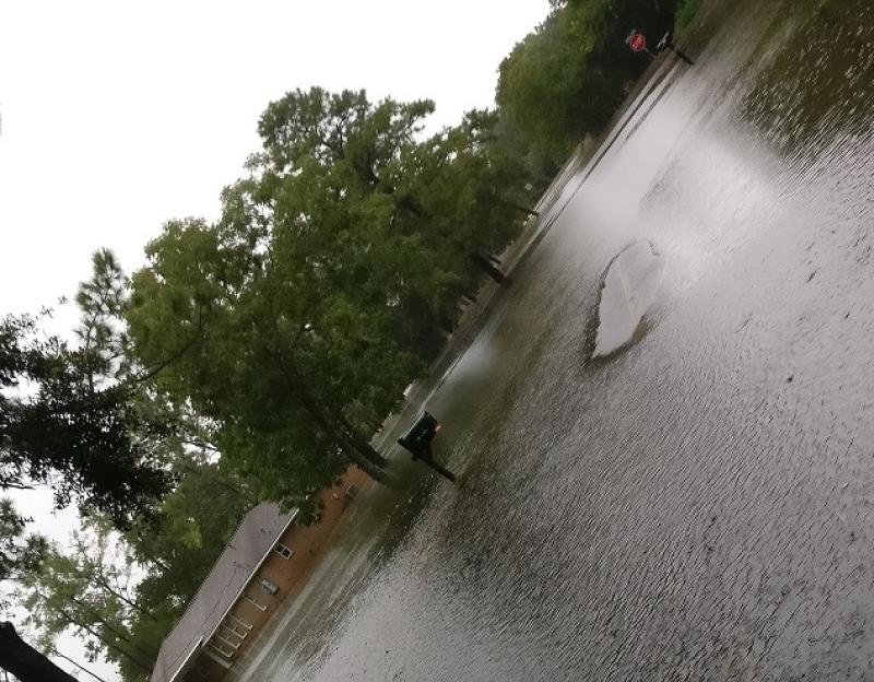 Houston: &lsquo;The Coast Guard is out on the roads with boats&rsquo;