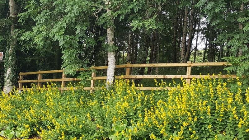 Weather for Donegal, Saturday, September 2nd, 2017