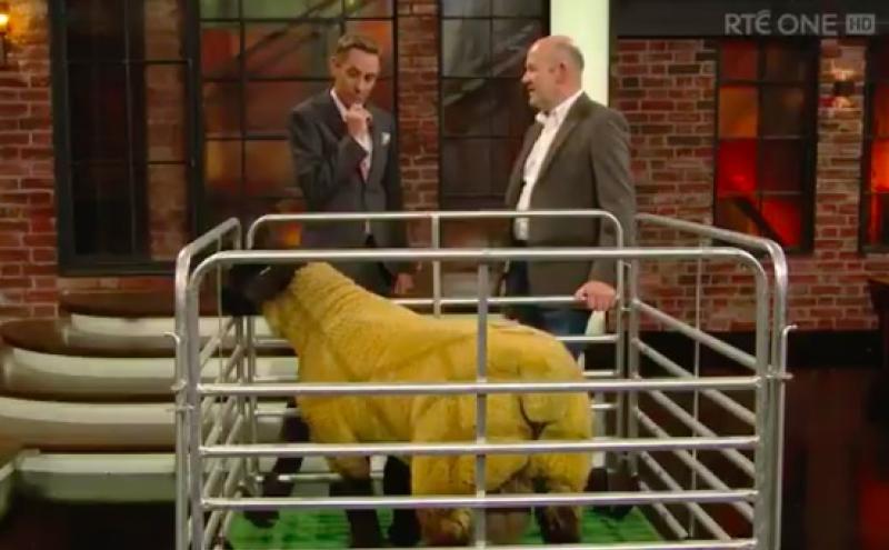 Donegal sheep breeder names Ireland’s most expensive lamb on Late, Late