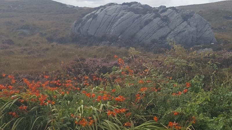 Weather for Donegal, Thursday, September 14th, 2017