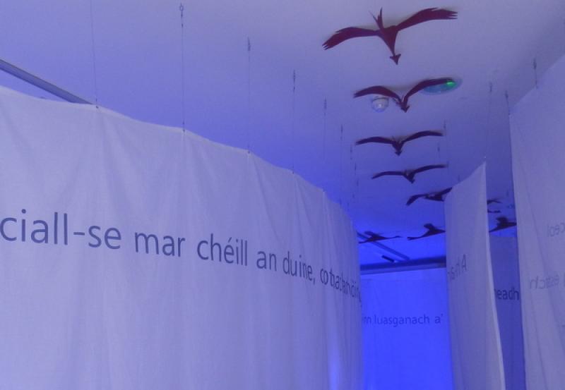 Exploring  the secret language of cranes