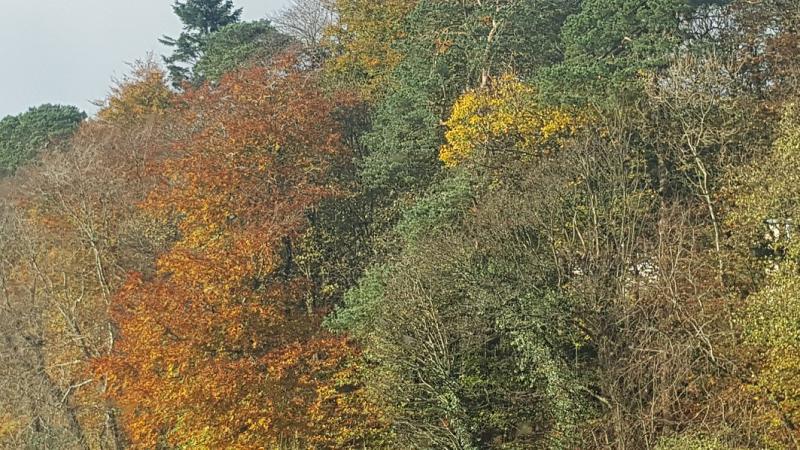 Weather for Donegal, Friday, November 3rd, 2017