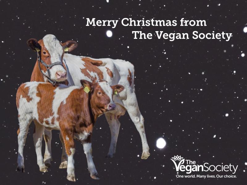 How to host a vegan this Christmas