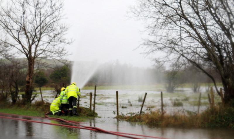 MEP calls for action on fodder crisis