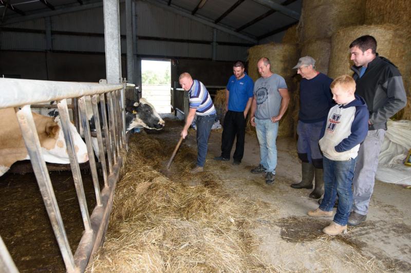 Fodder hit farmers in Donegal urged to complete 'forage forms' immediately