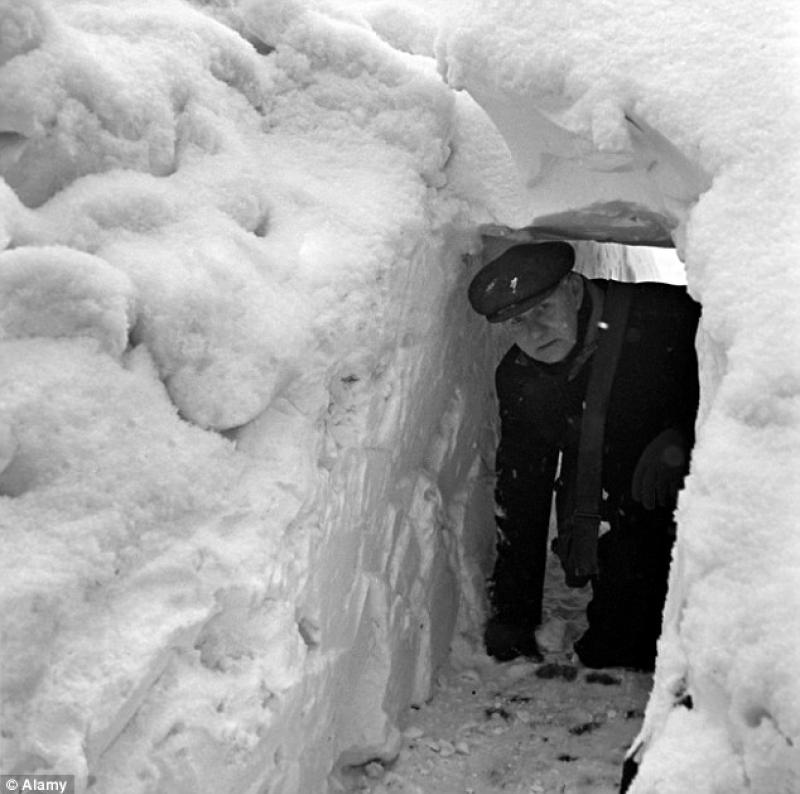 It Occurs to Me: 'You'll know you're in Alaska!'