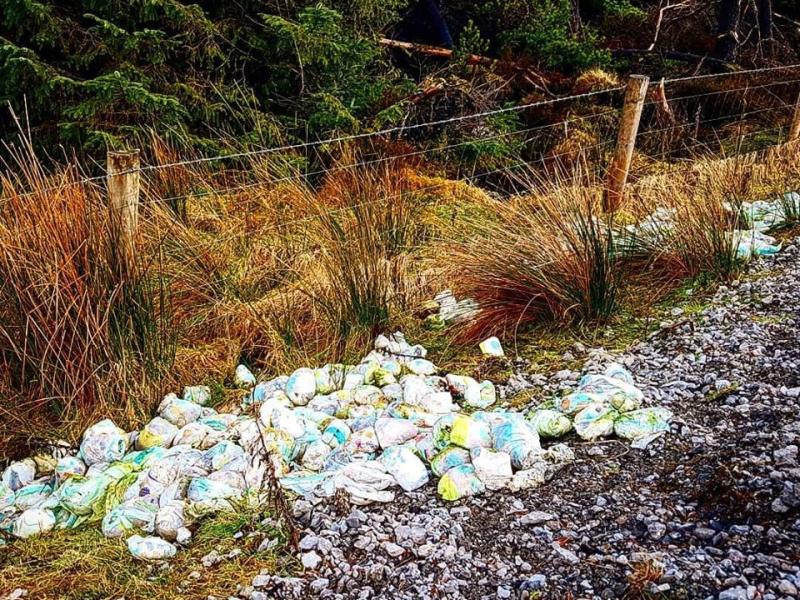 'It is cheaper to buy nappies than it is to dispose of them' - Cllr 