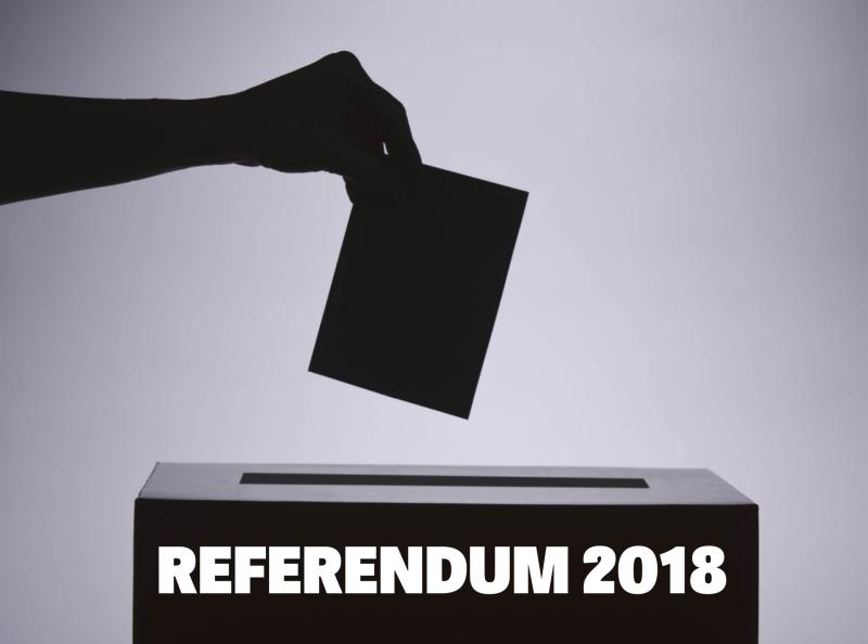 What you need to know for the Referendum