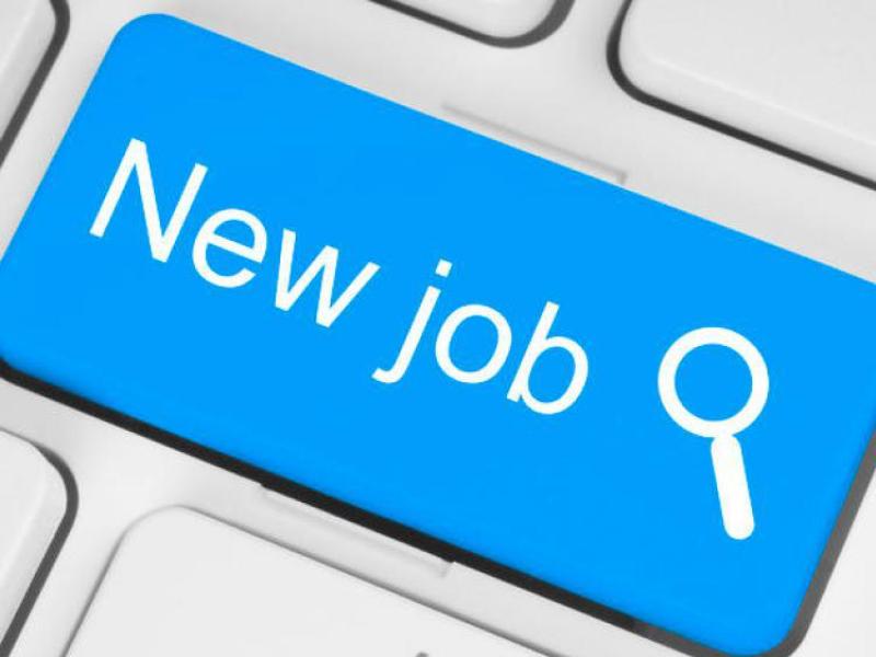JOBS: Search is to fill key top post in the fishing industry which is of considerable  importance in Donegal