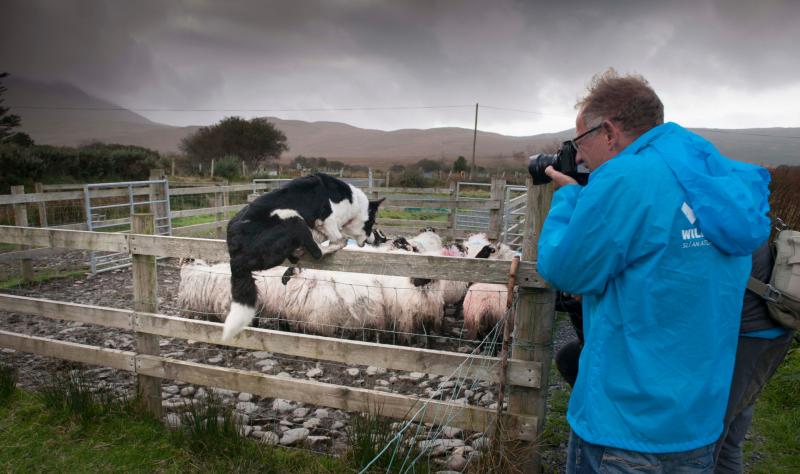 Leading German Brand Panasonic ‘Snap Up’ the Wild Atlantic Way