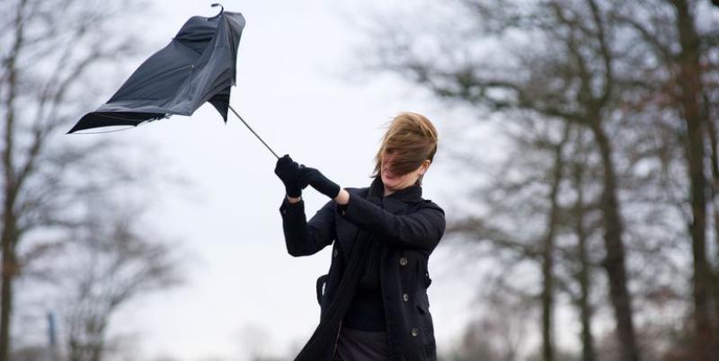 Gale force winds along coasts this morning, Tuesday