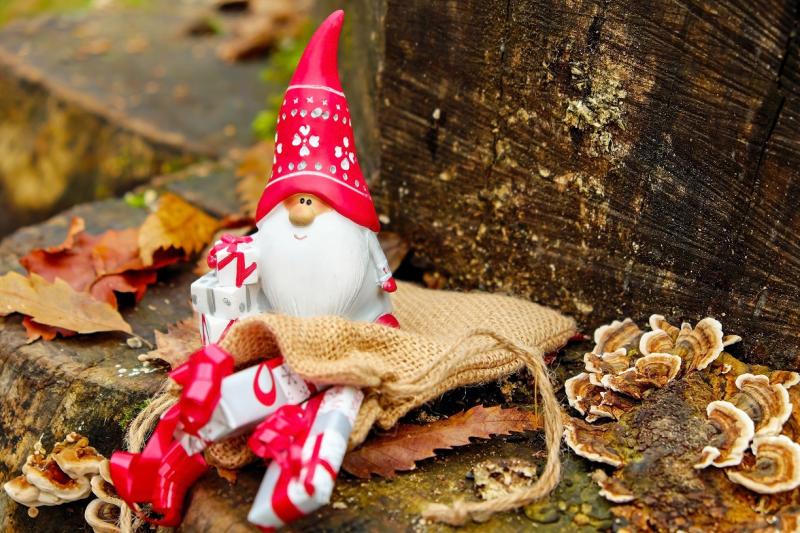 Festive online hub launched for homesick Irish diaspora who can't return for Christmas