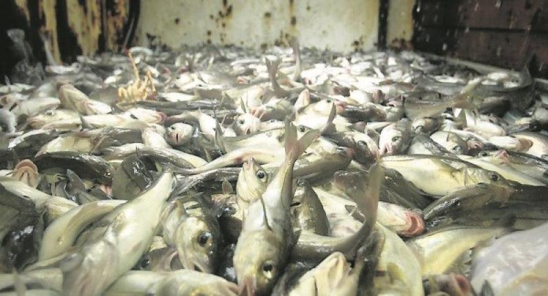Fishing vessel owners sign scheme to adjust their businesses post-Brexit