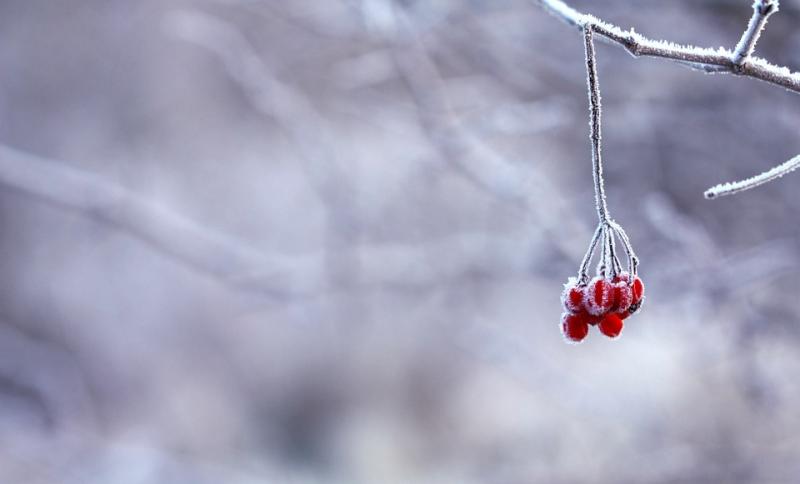 Frost to clear - today's weather for Donegal