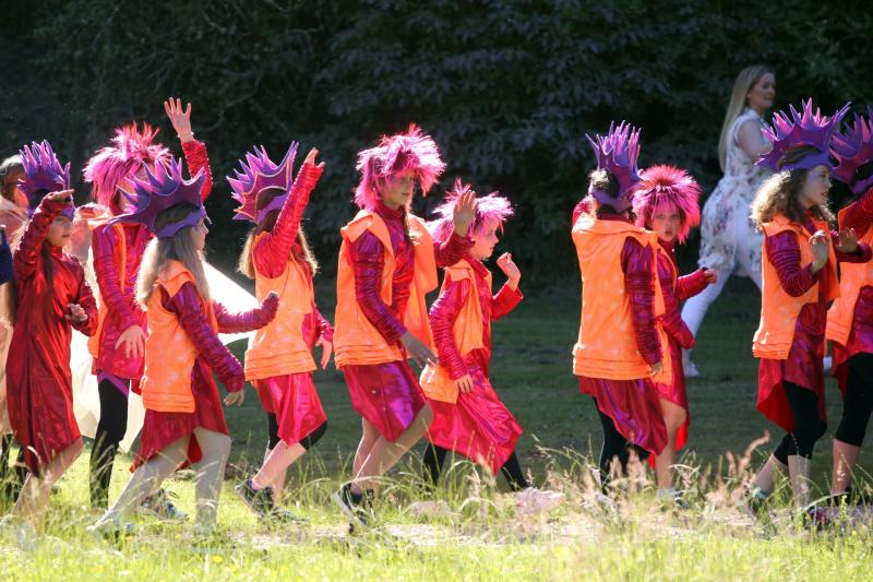 Donegal County Council looking for proposals for Cruinniú na nÓg