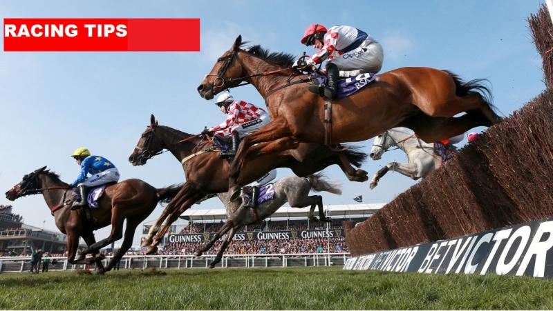 CHELTENHAM RACING TIPS - Five  horses that could make you a fortune at Cheltenham 2019