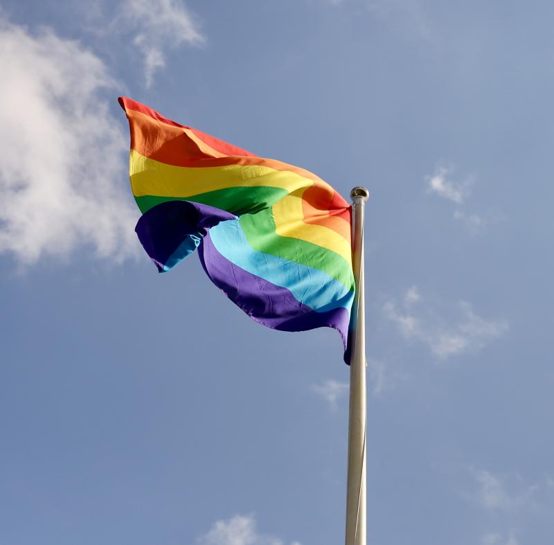 Leitrim Pride march  and picnic postoned