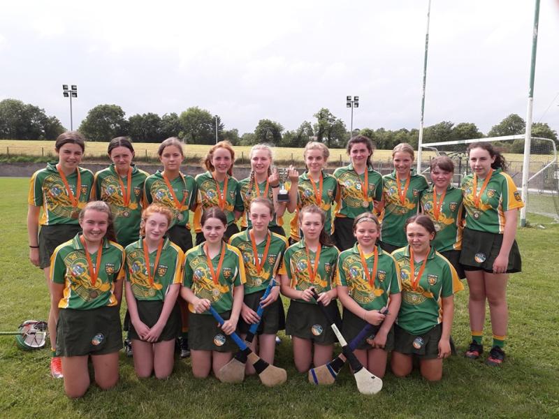 Donegal camogie