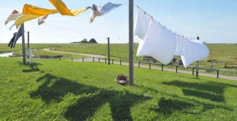 More windy weather in store today with rain never far away