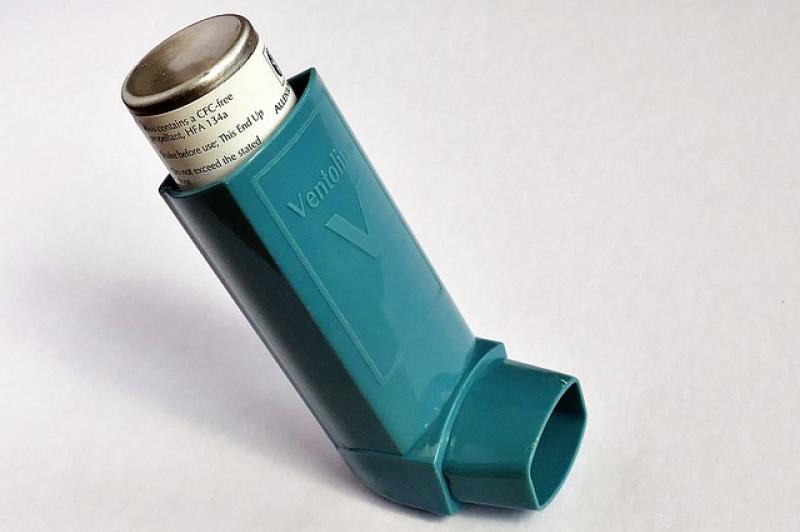 The Asthma Society of Ireland is advising people with Asthma to be aware of rising pollen levels Picture: InspiredImages from Pixabay