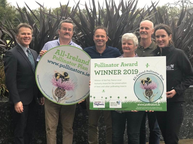 National ‘Tidy Towns’ Pollinator Award for Buncrana