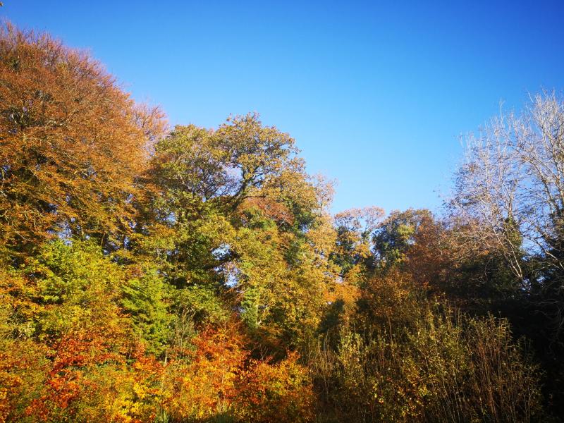 Weather autumn sun