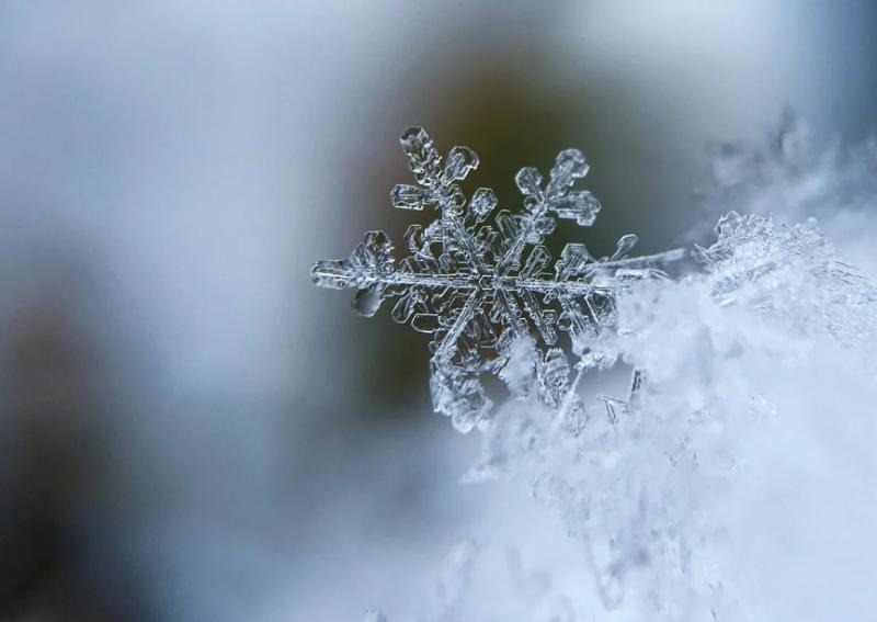 Snow crystal