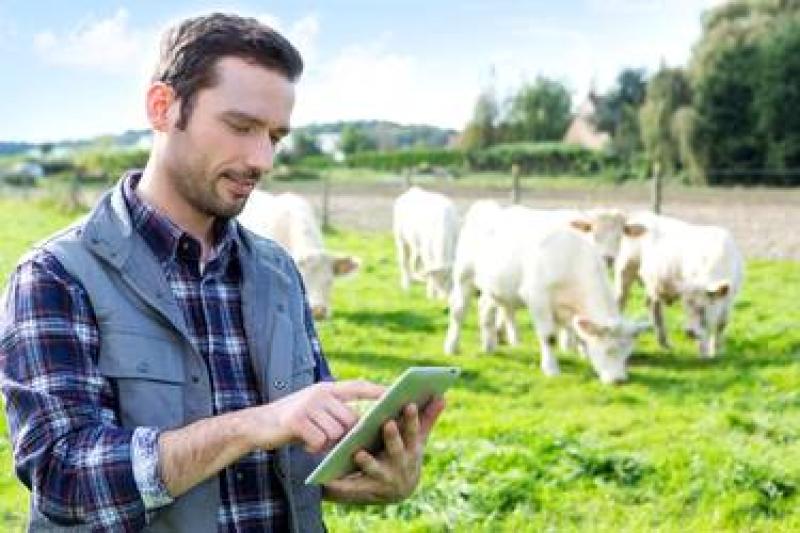 Ifac reminds Donegal farmers a Pension is the Christmas gift that keeps on giving