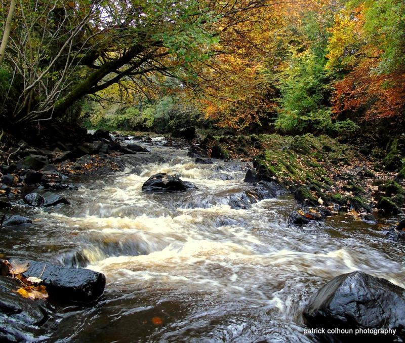 Crana River