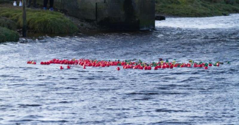 It's time to get your ducks in a row for popular annual Donegal race
