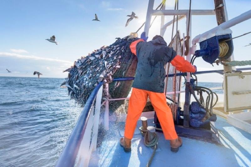 Donegal's fishing fleet aware Brexit threat looms large