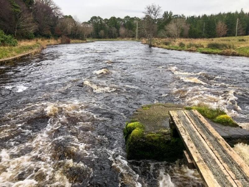 McHugh's Miscellany:  The first bradán caught on the Drowes River has become a yearly institution