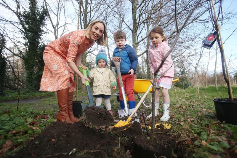 Donegal support for One Million Trees campaign