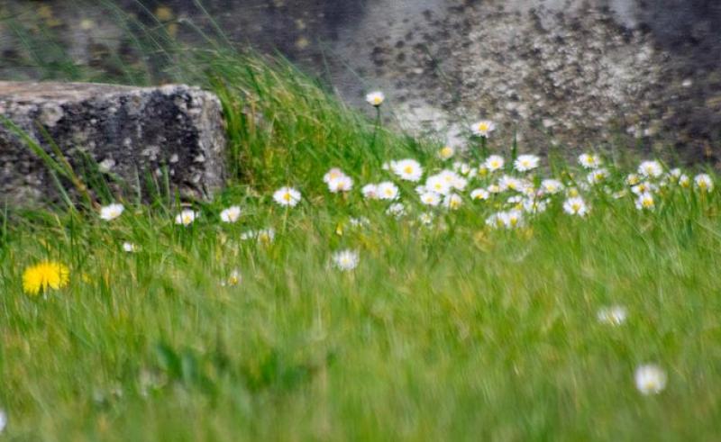 Weather outlook - a fresh, spring day in Donegal 