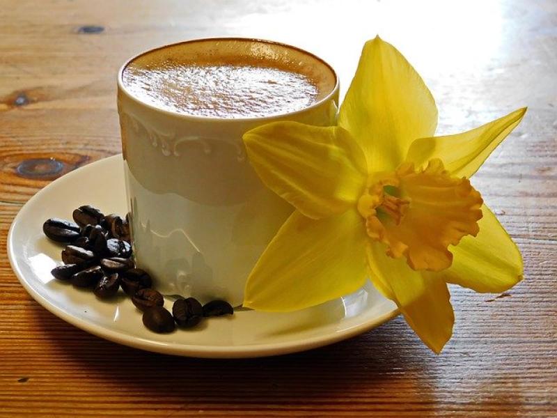Join me for a virtual cuppa - a view of Donegal through coronavirus and beyond by Siobhán McNamara