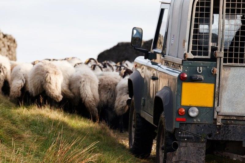 Essential workers in coronavirus crisis
