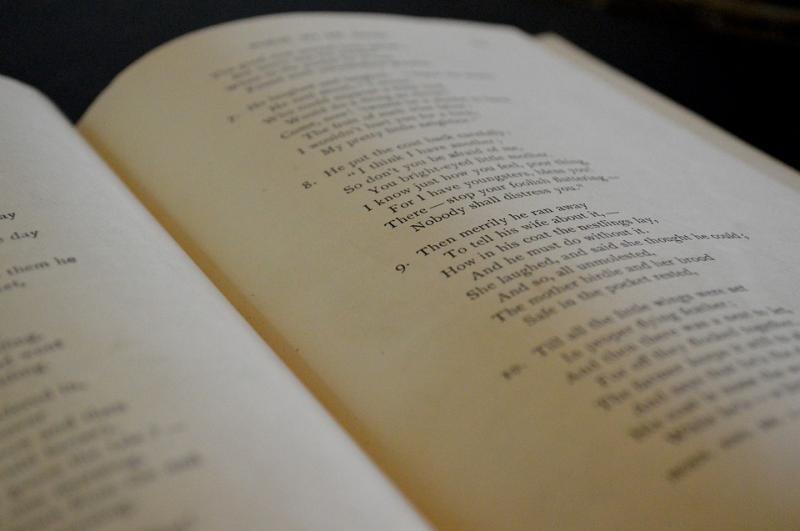 2024 Allingham Poetry and Flash Fiction Competitions now open for entries