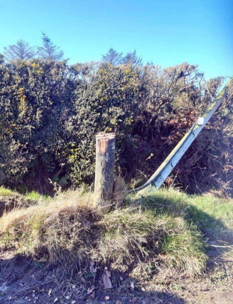 Vandalised telegraph pole