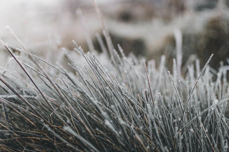 Gritters will be in action on Donegal roads this evening