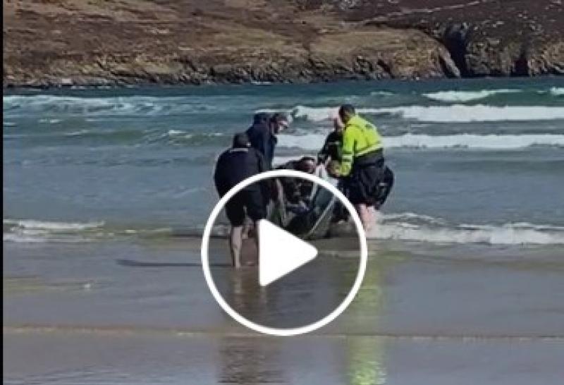 Donegal gardaí and coast guard unit rescue beached dolphin