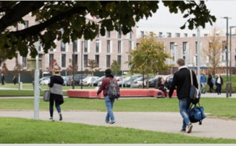 Donegal students invited to Maynooth University's virtual Spring Open Day