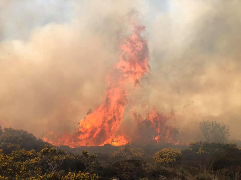 Emergency services tackling a wildfire blaze in Ranafast