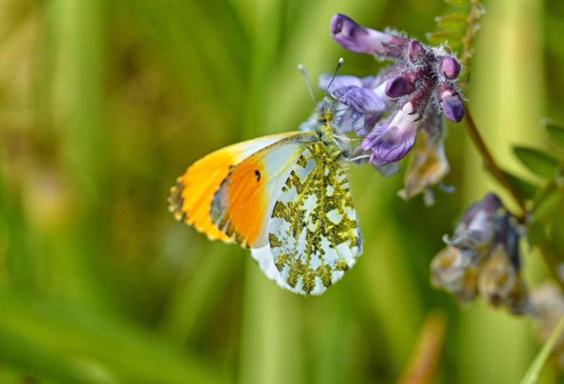 What's within 5k? Send us your photos of what is on your doorstep